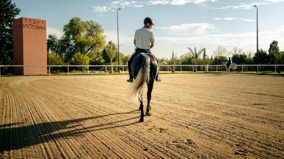 A person rides a horse in a sand arena.